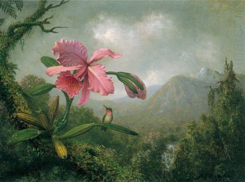 Martin Johnson Heade Orchid and Hummingbird near a Mountain Waterfall china oil painting image